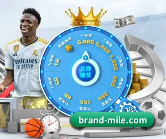 brand-mile.com APP 深度功能